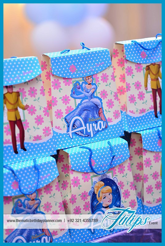 Disney Princess Cinderella birthday party theme ideas in Pakistan (11)