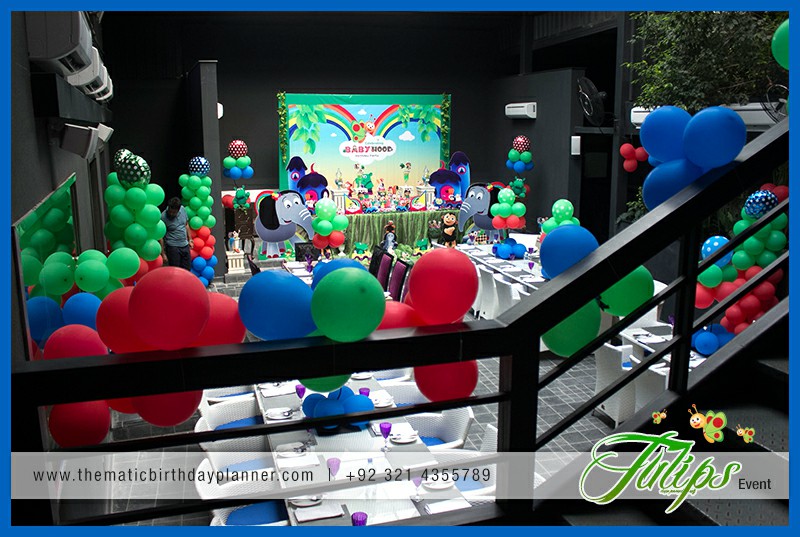 baby tv birthday party theme ideas in Lahore Pakistan (20)