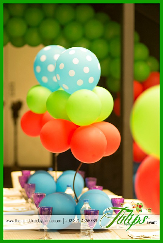 baby tv birthday party theme ideas in Lahore Pakistan (7)