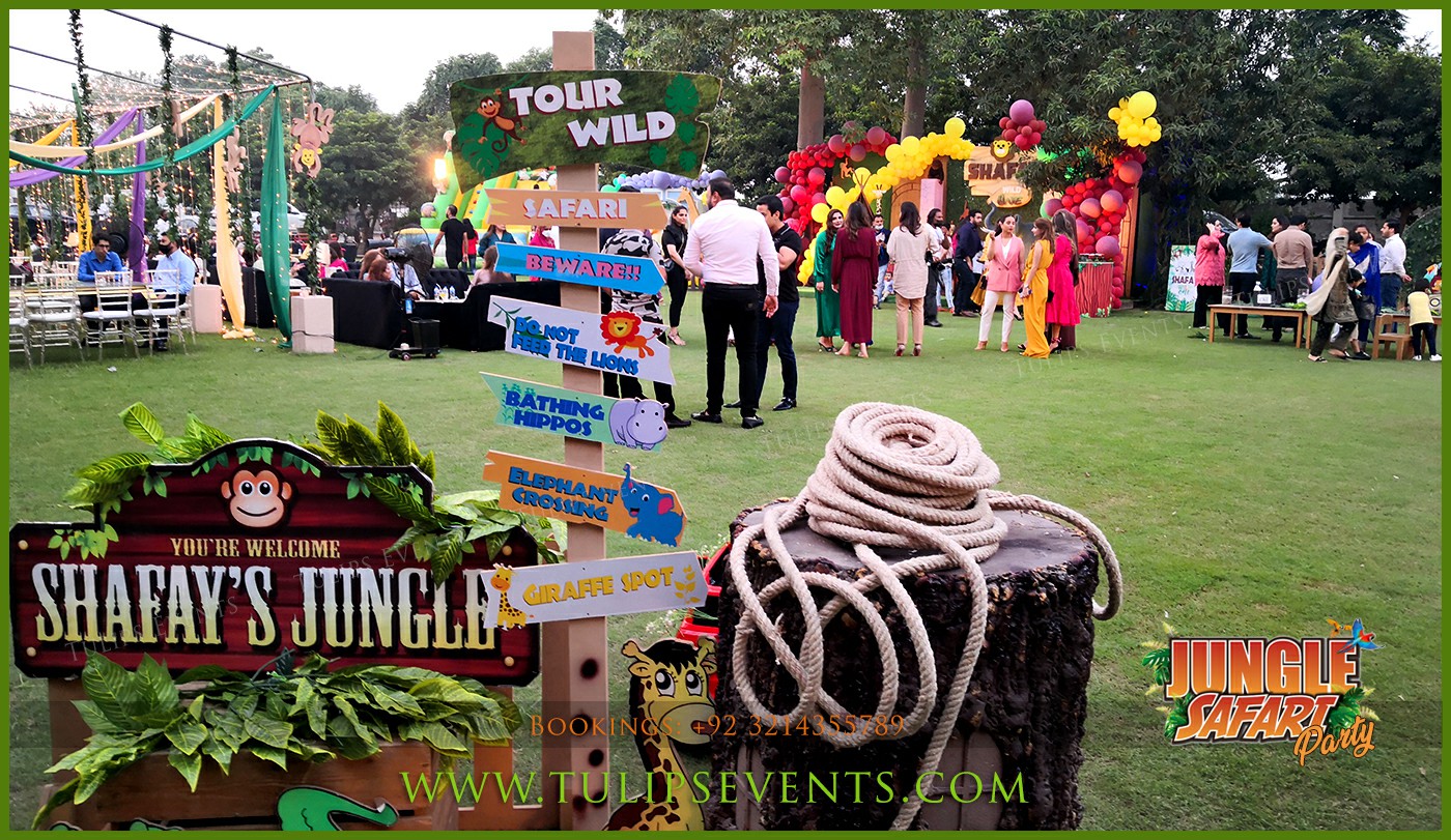 3d Jungle Safari Theme Birthday Party Decor ideas (1)